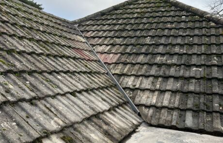 WhatsApp Image 2026-02-04 at 18.17.08 (1)