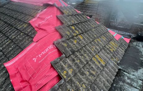 WhatsApp Image 2026-02-04 at 18.17.08 (3)