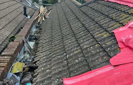 WhatsApp Image 2026-02-04 at 18.17.08 (4)