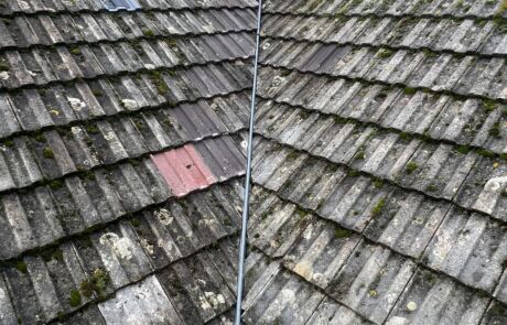 WhatsApp Image 2026-02-04 at 18.17.08